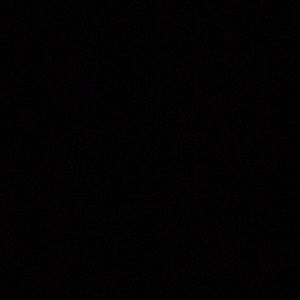 Meet your Posher, Freddie